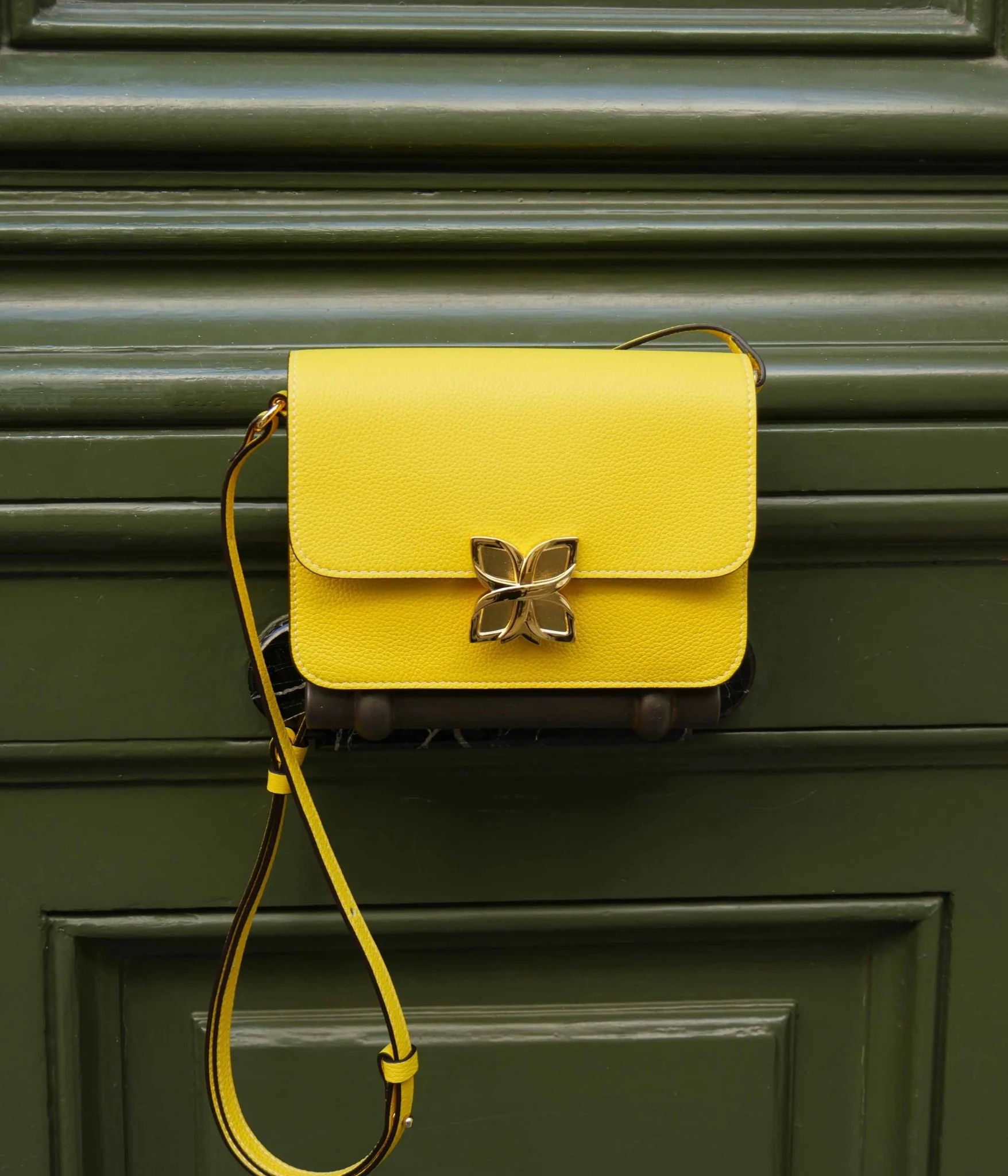 Mini Hortensia | Jaune Été - Image 5